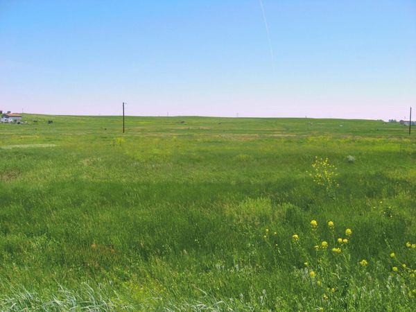 Lot 58 Gobbler Lane, Smithwick, SD 57782