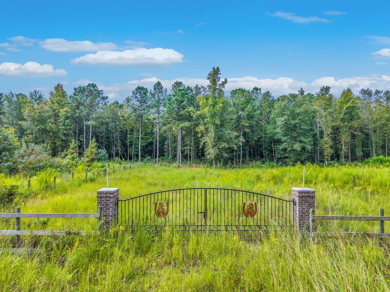 00 Belfast Avenue Photo 1