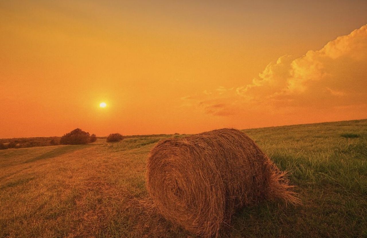 1007 Bypass North Highway, Lawrenceburg, KY 40342