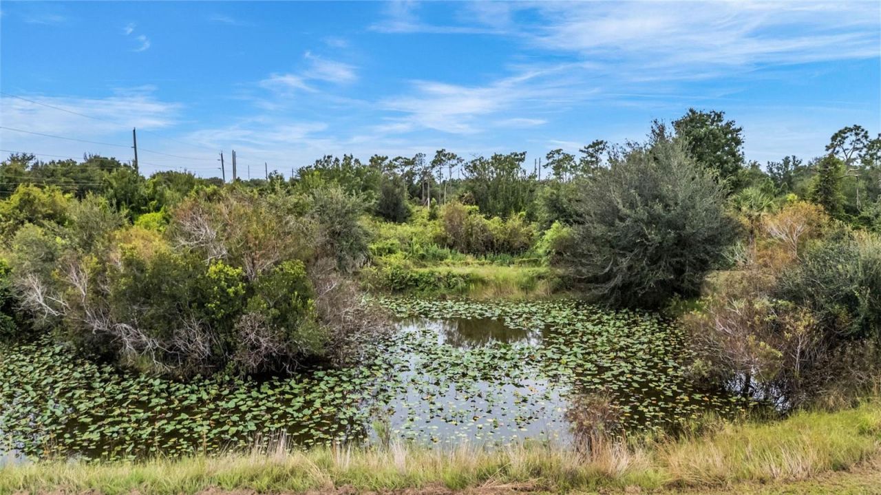 30720 Washington Loop Road, Punta Gorda, FL 33982 Photo