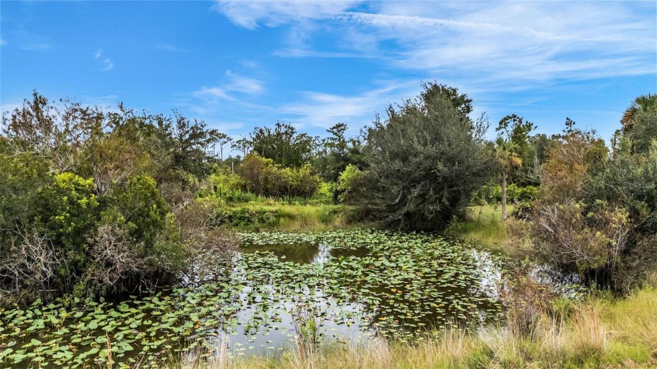 30720 Washington Loop Road, Punta Gorda, FL 33982 Photo