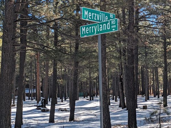 1960 MERRYLAND Road, Unit 233, Forest Lakes, AZ 85931