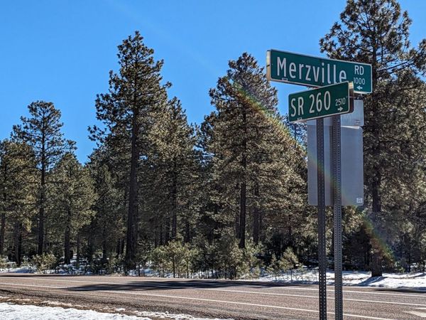 1019 MERZVILLE Road, Unit 234, Forest Lakes, AZ 85931