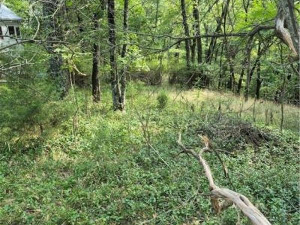 Fritz, Eureka Springs, AR 72632