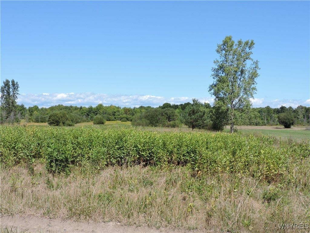 Vl 121 Sturgeon Point Road, Derby, NY 14047 Main Photo