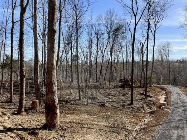 Lot 14 Ranchero Road , Clarkson, KY 42726