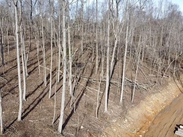 Lot 16 Ranchero Road , Clarkson, KY 42726