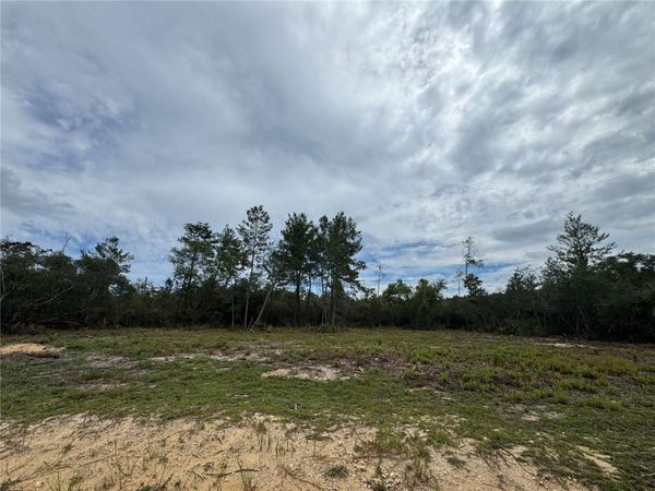 NE 135TH ST, SALT SPRINGS, FL 32134