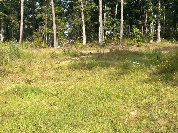 849-889 Presnull Road, Dennard, AR 72629