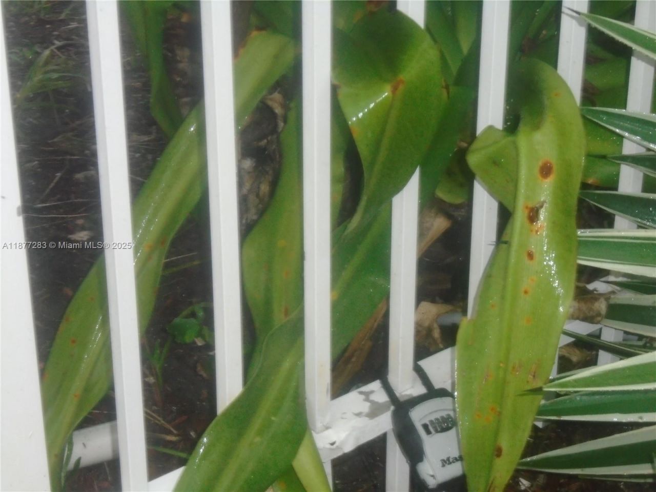 7051 Environ Bl, Unit 136, Lauderhill, FL 33319 Photo