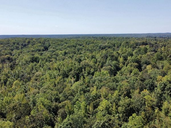 00 Cedar Hill Rd , Parsons, TN 38363