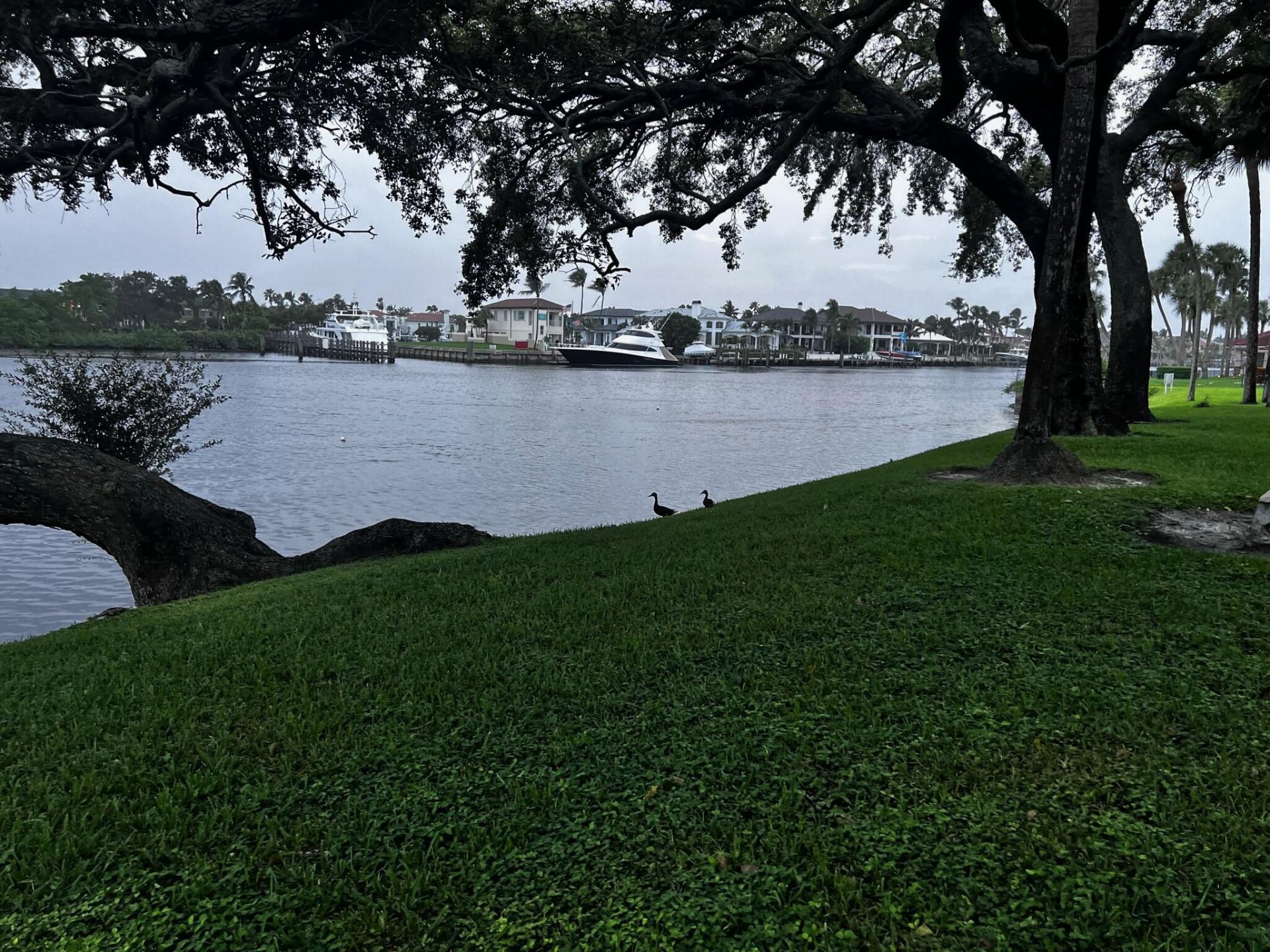 386 Golfview Road, Unit F, North Palm Beach, FL 33408 Photo