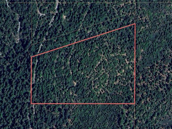 No Address Texas Hill Road, Emigrant Gap, CA 95715