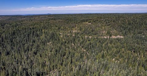 No Address Texas Hill Road, Emigrant Gap, CA 95715 Photo