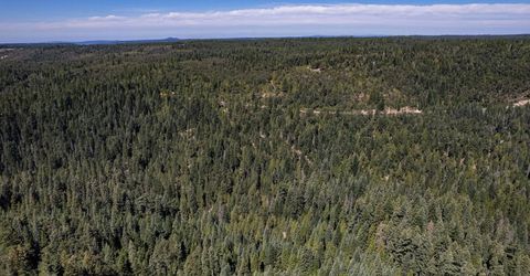 No Address Texas Hill Road, Emigrant Gap, CA 95715 Photo