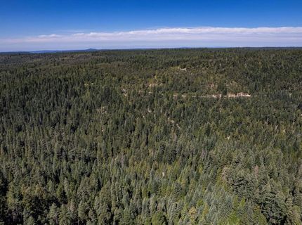 No Address Texas Hill Road, Emigrant Gap, CA 95715 Photo