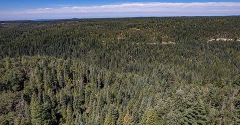 No Address Texas Hill Road, Emigrant Gap, CA 95715 Photo