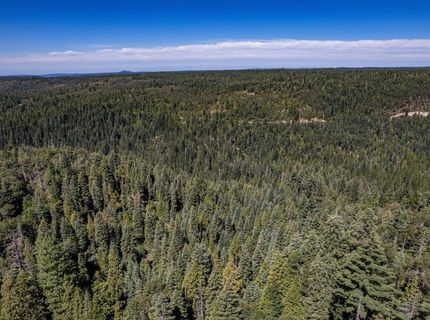 No Address Texas Hill Road, Emigrant Gap, CA 95715 Photo