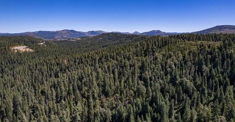 No Address Texas Hill Road, Emigrant Gap, CA 95715 Photo