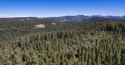 No Address Texas Hill Road, Emigrant Gap, CA 95715 Photo