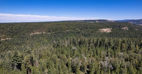 No Address Texas Hill Road, Emigrant Gap, CA 95715 Photo
