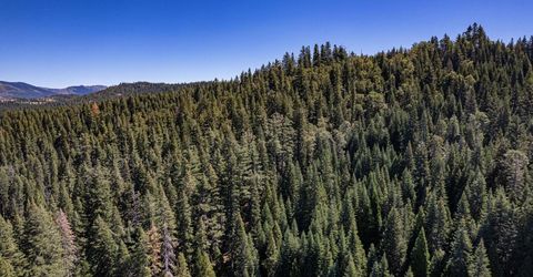 No Address Texas Hill Road, Emigrant Gap, CA 95715 Photo