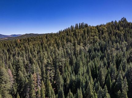 No Address Texas Hill Road, Emigrant Gap, CA 95715 Photo