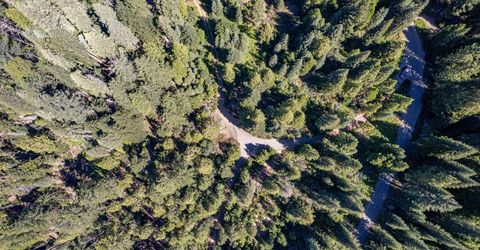 No Address Texas Hill Road, Emigrant Gap, CA 95715 Photo