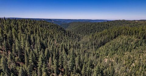 No Address Texas Hill Road, Emigrant Gap, CA 95715 Photo