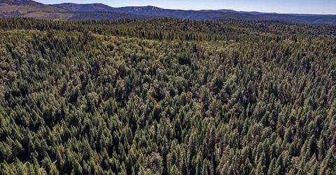 No Address Texas Hill Road, Emigrant Gap, CA 95715 Photo