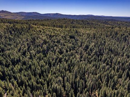 No Address Texas Hill Road, Emigrant Gap, CA 95715 Photo