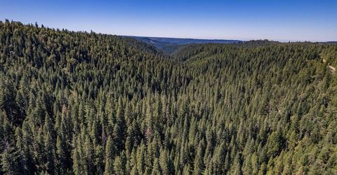 No Address Texas Hill Road, Emigrant Gap, CA 95715 Photo