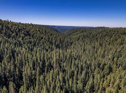 No Address Texas Hill Road, Emigrant Gap, CA 95715 Photo