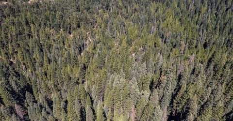 No Address Texas Hill Road, Emigrant Gap, CA 95715 Photo