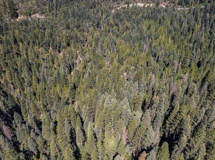 No Address Texas Hill Road, Emigrant Gap, CA 95715 Photo