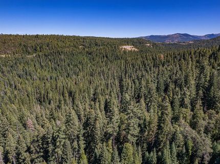 No Address Texas Hill Road, Emigrant Gap, CA 95715 Photo