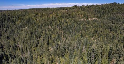 No Address Texas Hill Road, Emigrant Gap, CA 95715 Photo