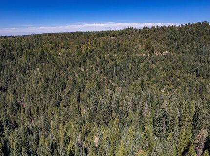 No Address Texas Hill Road, Emigrant Gap, CA 95715 Photo