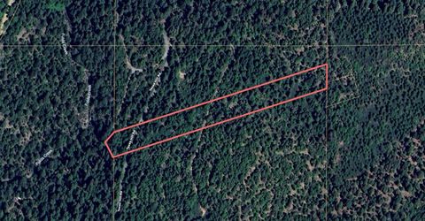 No Address Texas Hill Road, Emigrant Gap, CA 95715 Photo