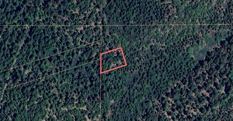 No Address Texas Hill Road, Emigrant Gap, CA 95715 Photo