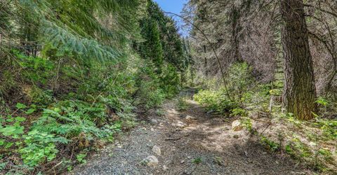 No Address Texas Hill Road, Emigrant Gap, CA 95715 Photo