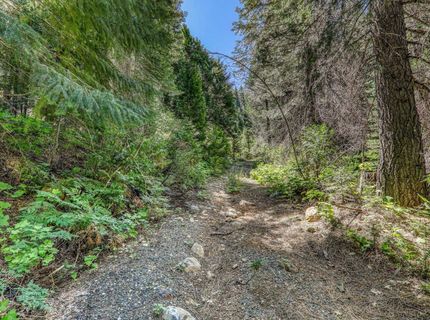 No Address Texas Hill Road, Emigrant Gap, CA 95715 Photo