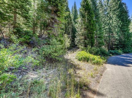 No Address Texas Hill Road, Emigrant Gap, CA 95715 Photo