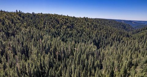 No Address Texas Hill Road, Emigrant Gap, CA 95715 Photo