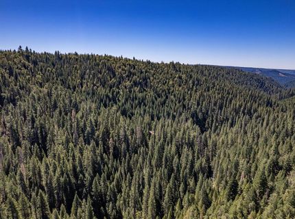 No Address Texas Hill Road, Emigrant Gap, CA 95715 Photo