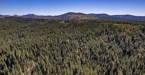 No Address Texas Hill Road, Emigrant Gap, CA 95715 Photo