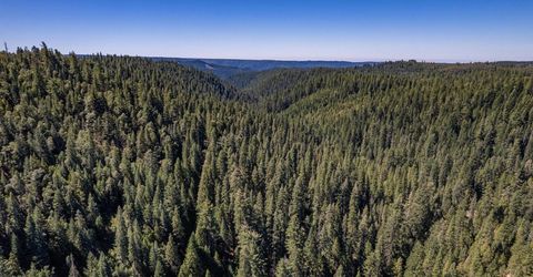 No Address Texas Hill Road, Emigrant Gap, CA 95715 Photo