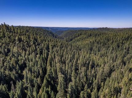 No Address Texas Hill Road, Emigrant Gap, CA 95715 Photo