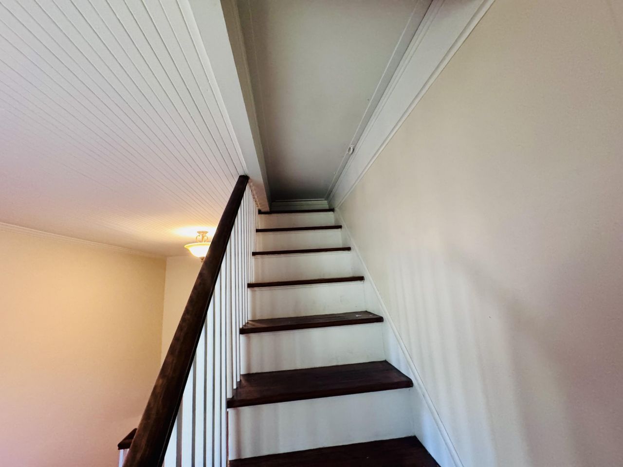 5 S Rosemary Avenue Photo 62