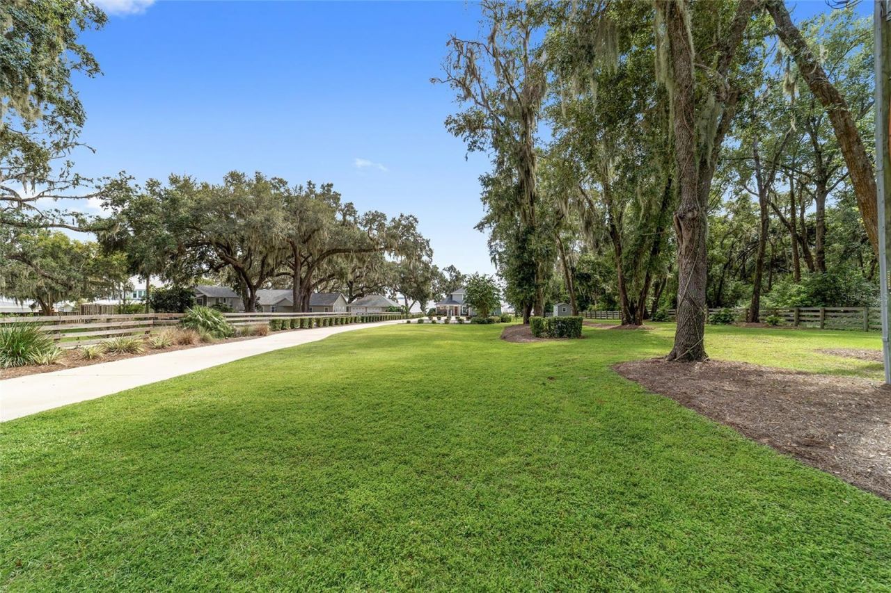 12350 E Highway 25, Ocklawaha, FL 32179 Photo